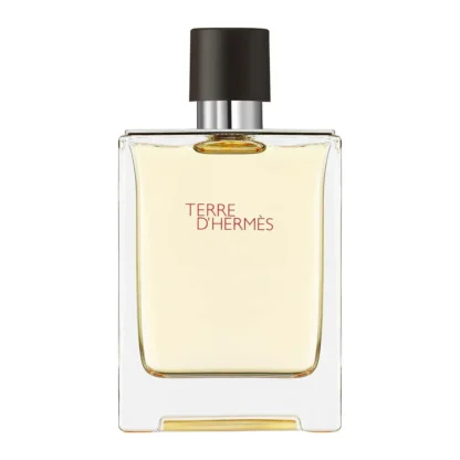 Perfume Masculino Terre d'Hermes Hermès Eau de Toilette
