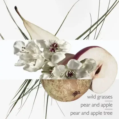 Perfume Feminino Un Jardin Sur Le Toit Hermès Eau de Toilette - Image 3