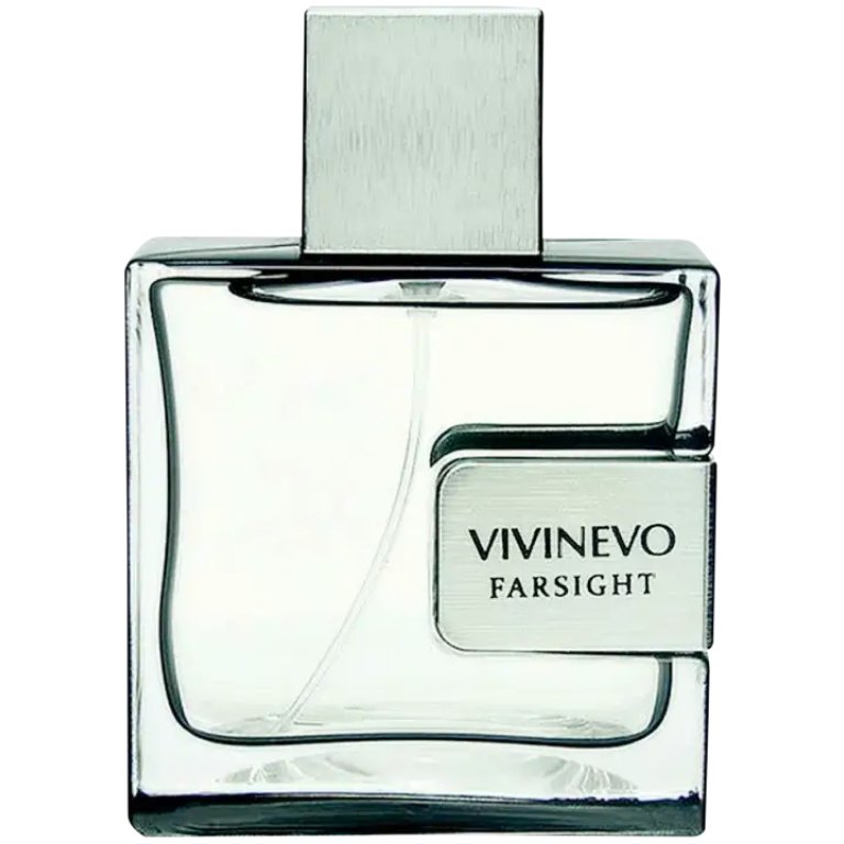 Perfume Masculino Farsight Vivinevo Eau de Toilette 100ml