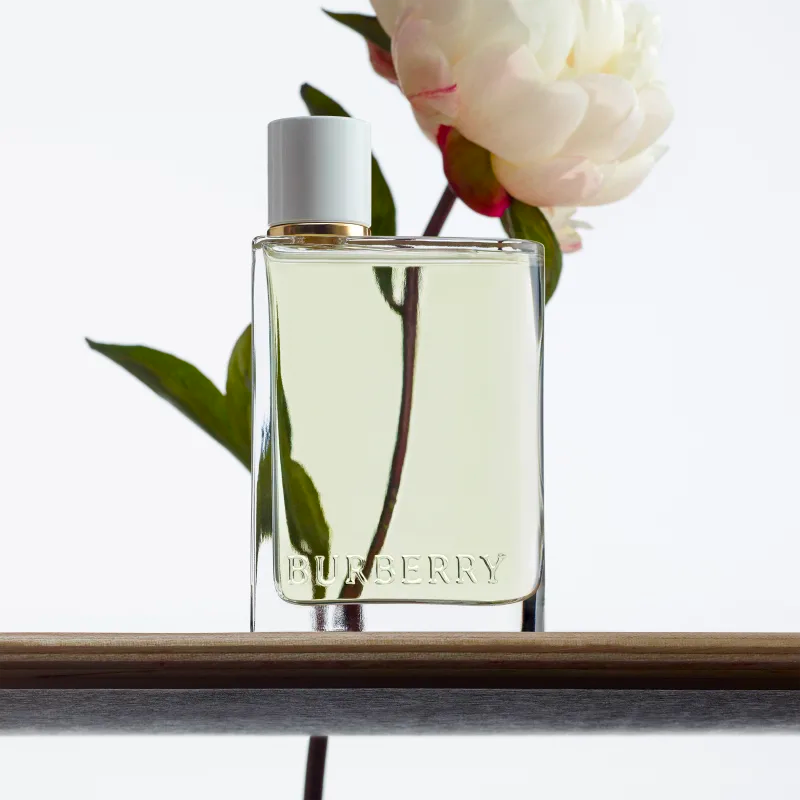 Perfume Feminino Her Burberry Eau de Toilette - Imagem 3